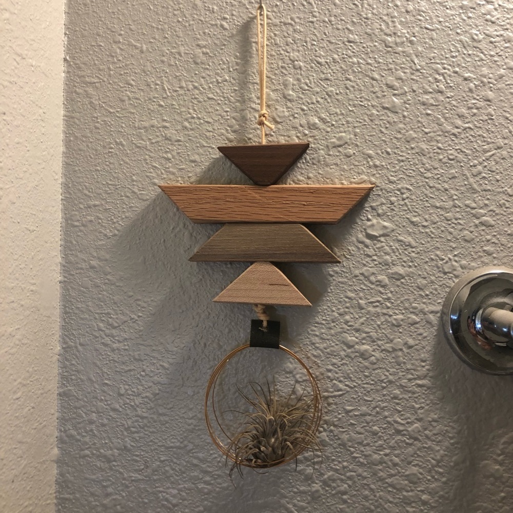 Modern Southwest Air plant wall hanging